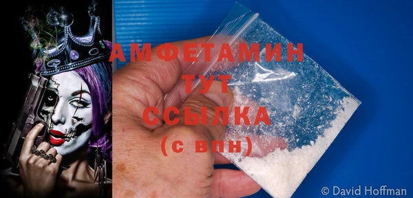 стаф Липки