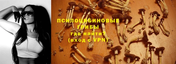 ПСИЛОЦИБИНОВЫЕ ГРИБЫ Абдулино